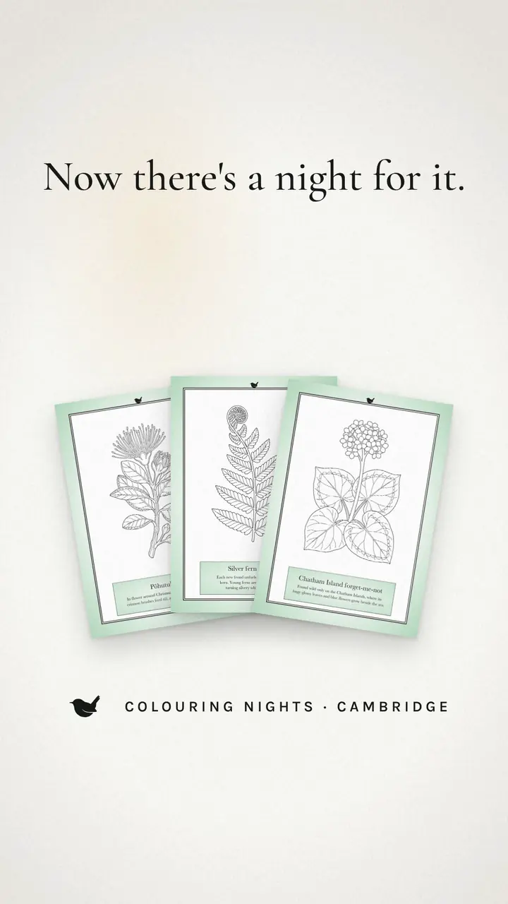 The colouring nights film: three cards, and the words Now there&rsquo;s a night for it