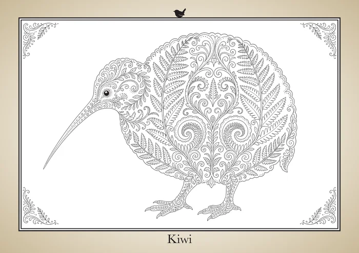 Kiwi, a line drawing to colour