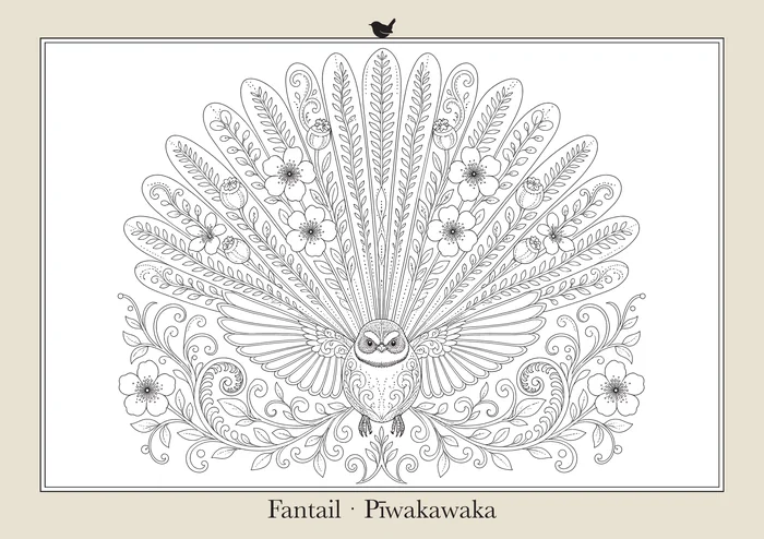 Fantail · Pīwakawaka, a line drawing to colour