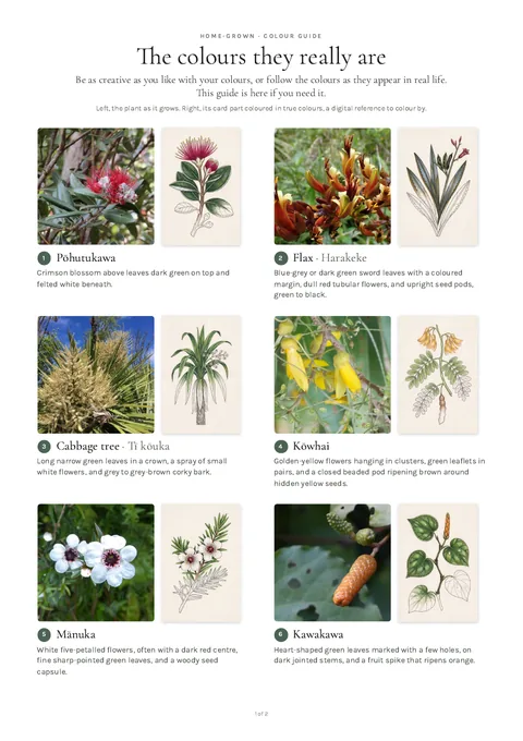 The first page of the Home-grown colour guide: a photograph of each plant beside its card, part coloured