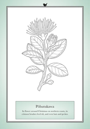 The Pōhutukawa card in the colour version, sage around the frame