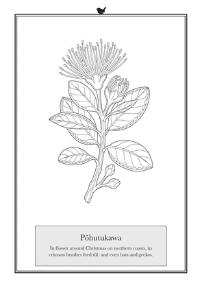 The Pōhutukawa card in the printer friendly version, black and white
