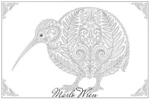 Kiwi, a line drawing to colour