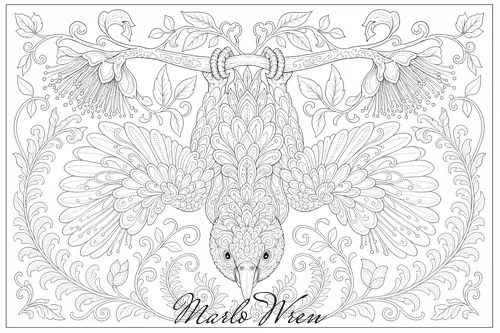 Kākā, a line drawing to colour