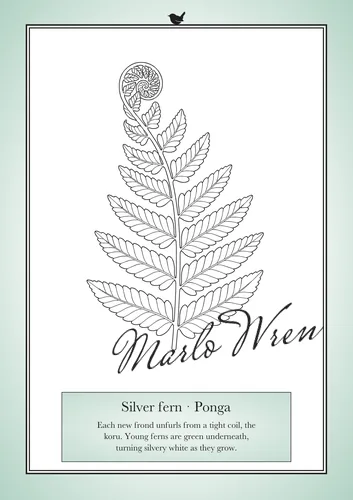 Silver fern · Ponga, a line drawing to colour, shown at an angle